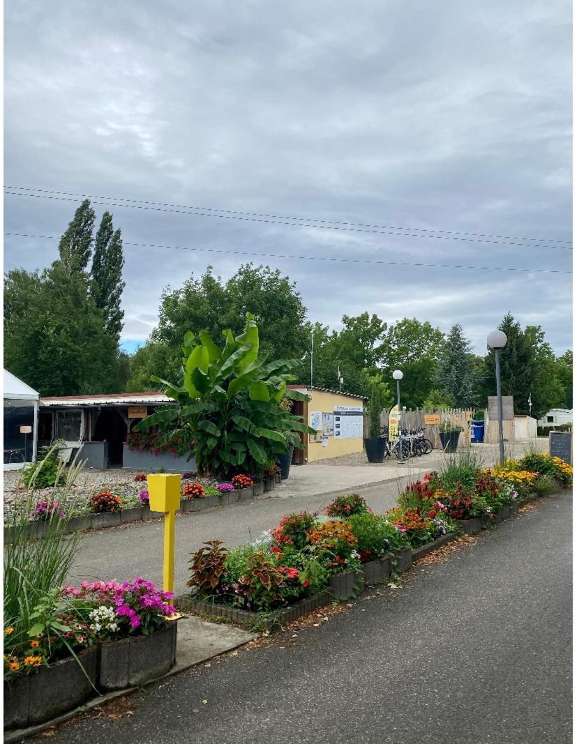 Mobile Home Proche De Europa Park Boofzheim Dış mekan fotoğraf